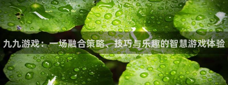 天美娱乐官网：九九游戏：一场融合策略、技巧与乐趣的智慧游戏体