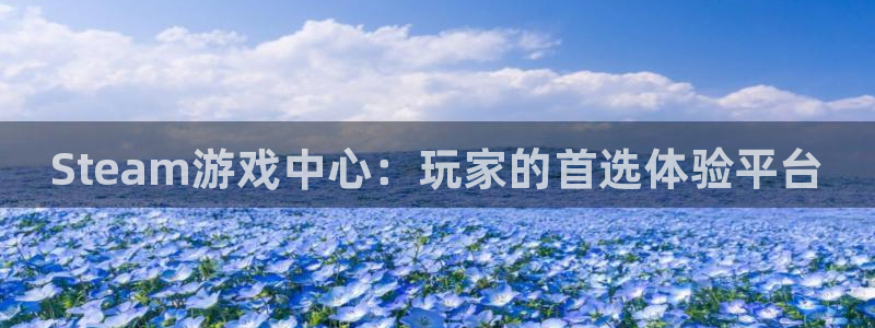天美娱乐4招商：Steam游戏中心：玩家的首选体验平台