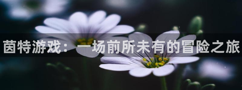 天美娱乐科技：茵特游戏：一场前所未有的冒险之旅