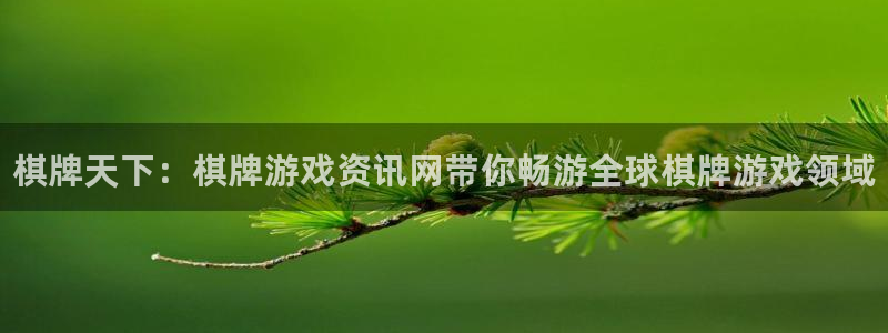 天美娱乐官网：棋牌天下：棋牌游戏资讯网带你畅游全球棋牌游戏领