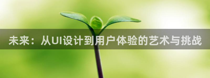 天美娱乐注册开户：未来：从UI设计到用户体验的艺术与挑战